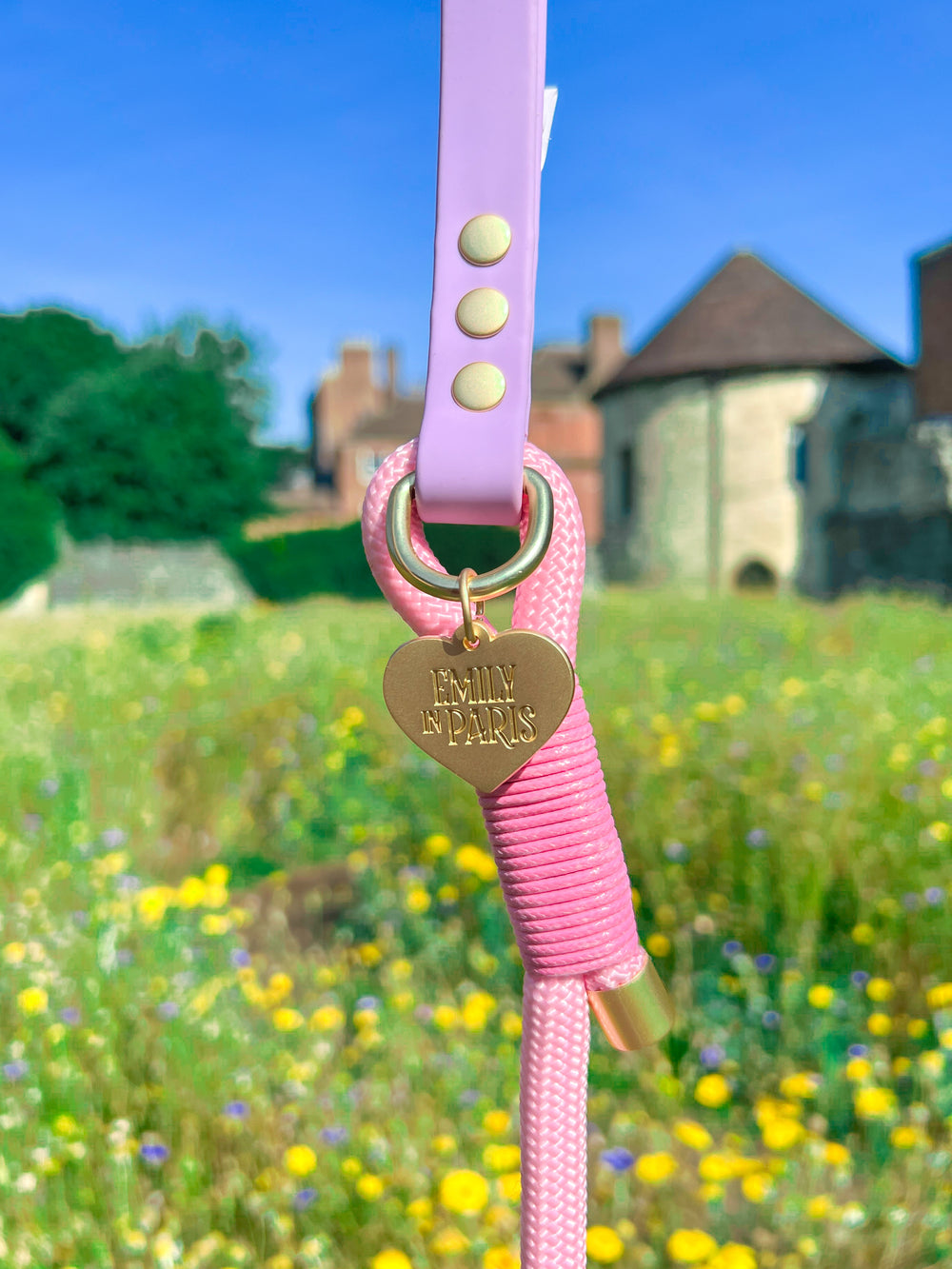 4ft Rope Lead - Emily In Paris