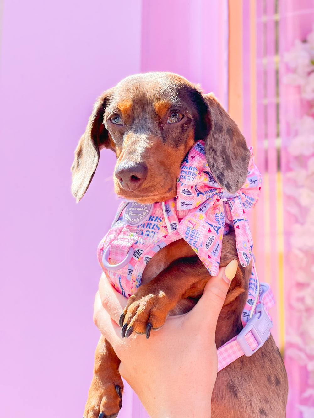 Sailor Bow Tie - Emily In Paris
