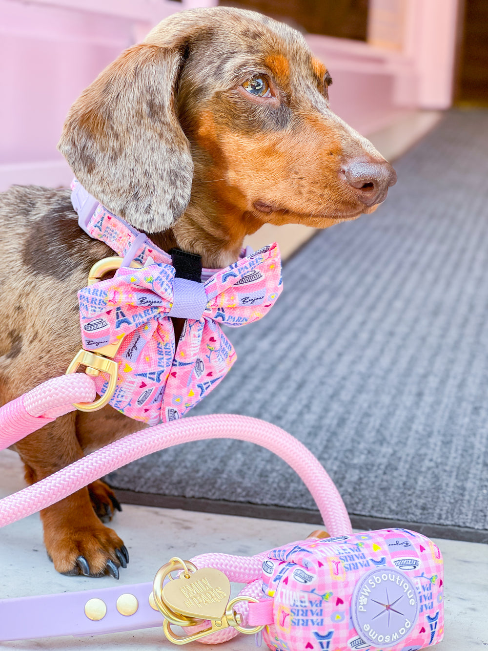 Poo Bag Holder - Emily In Paris