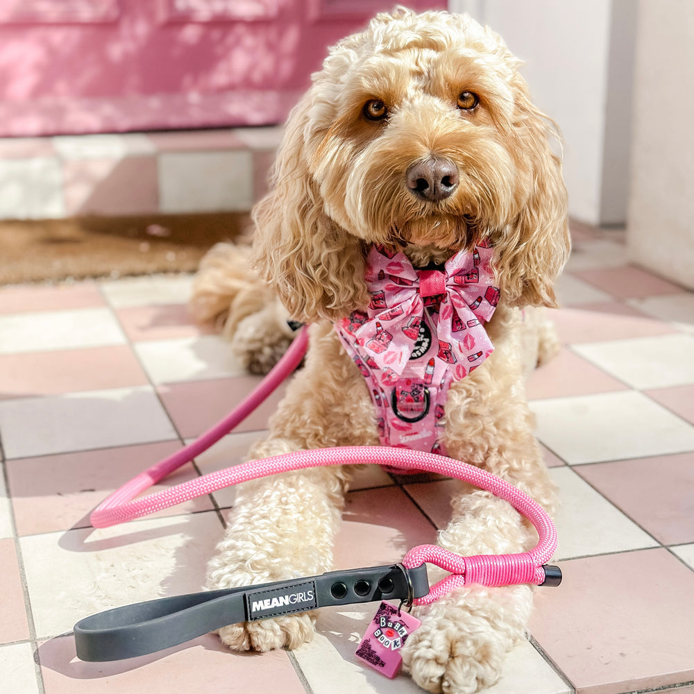 4ft Rope Lead - Mean Girls - Pink and Black