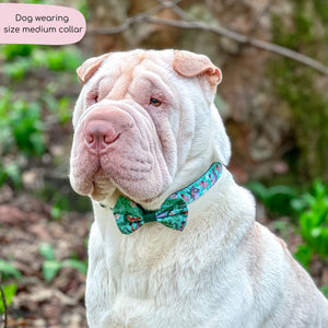 Disney© Collar - Jungle Book