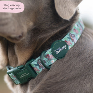 Disney© Collar - Jungle Book