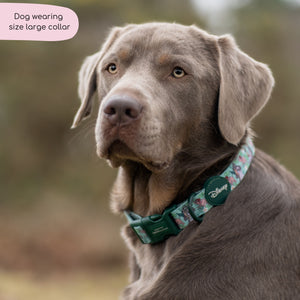 Disney© Collar - Jungle Book