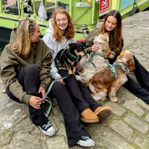 Flared Leggings - Black