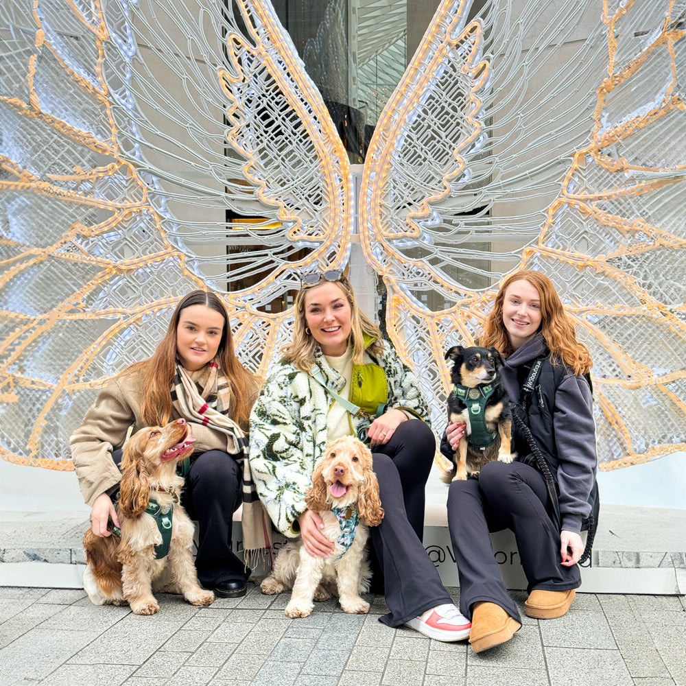 Flared Leggings - Black