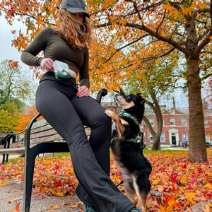 Treat + Go Bag - Walkies Ready® Forest Green