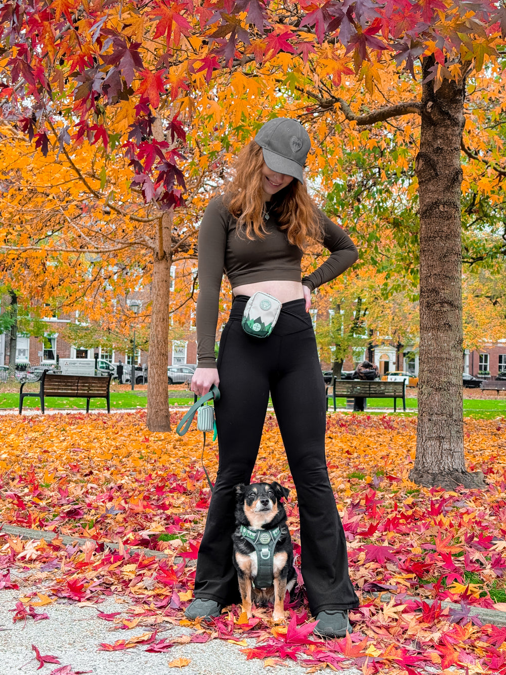 Treat + Go Bag - Walkies Ready® Forest Green