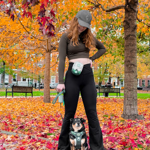 Treat + Go Bag - Walkies Ready® Forest Green
