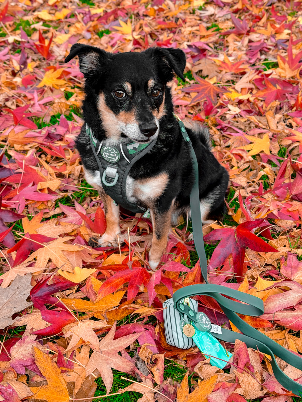 4ft Waterproof Lead - Walkies Ready® Forest Green