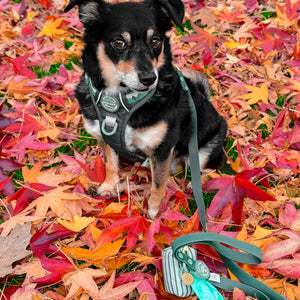 4ft Waterproof Lead - Walkies Ready® Forest Green