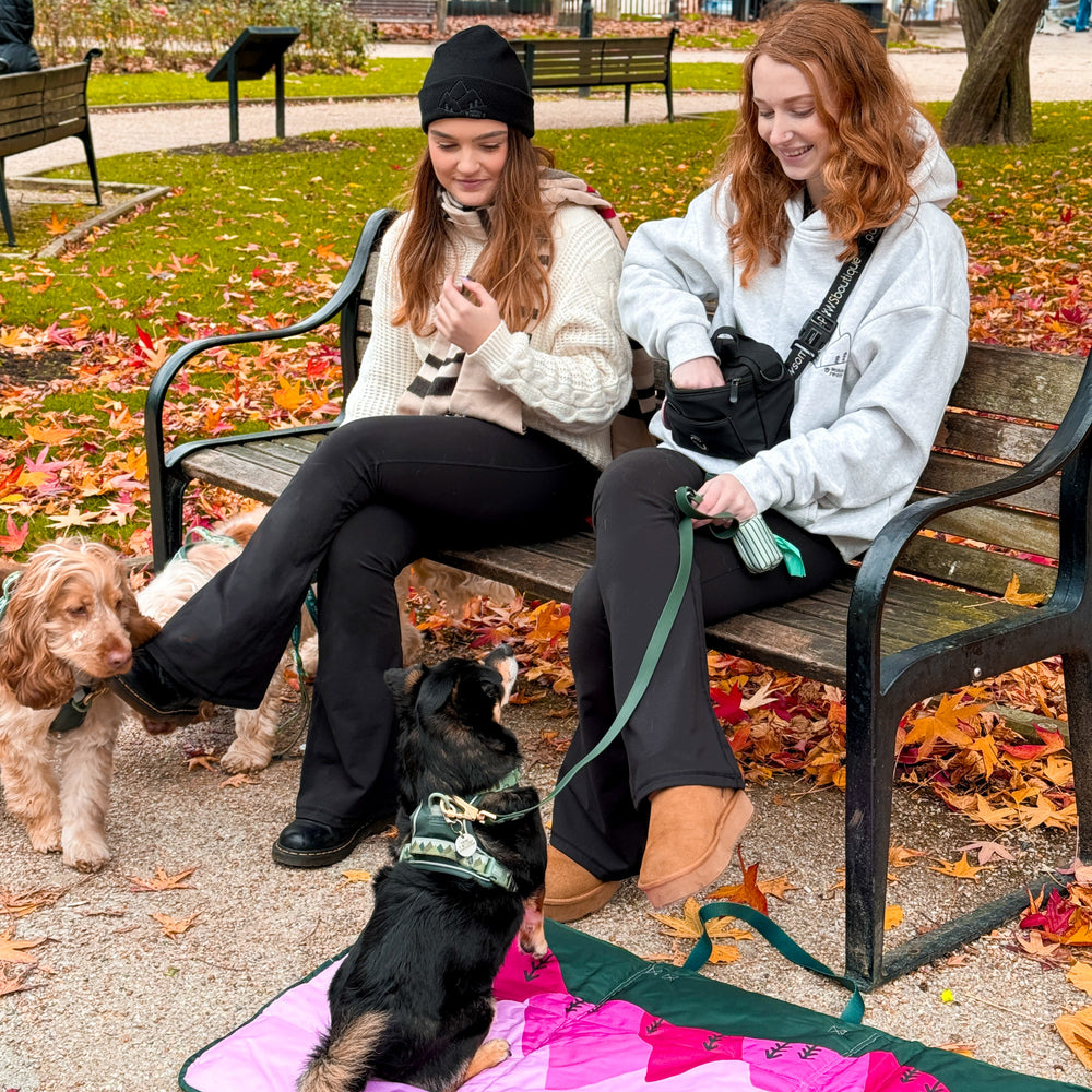 Flared Leggings - Black