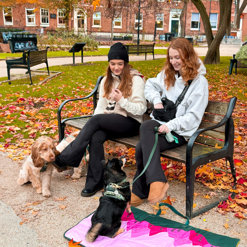 Travel Mat - Walkies Ready®