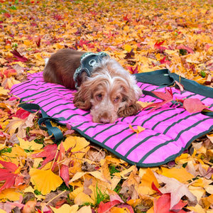 Travel Mat - Walkies Ready®