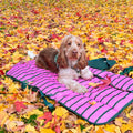Travel Mat - Walkies Ready®