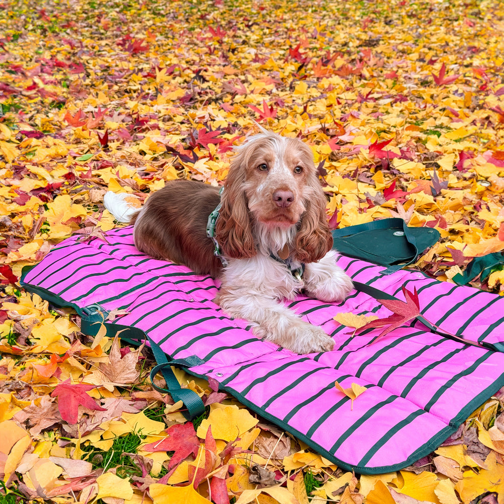 Travel Mat - Walkies Ready®