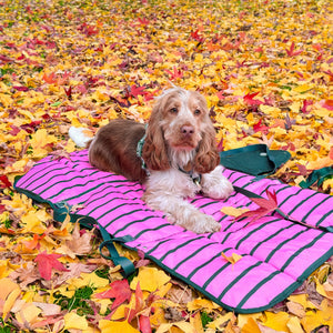 Travel Mat - Walkies Ready®