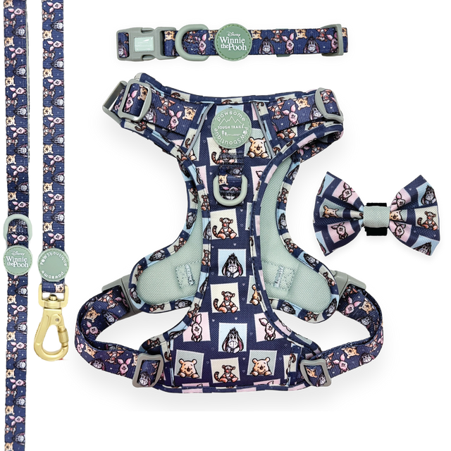 Winnie + Friends Ultimate Bundle