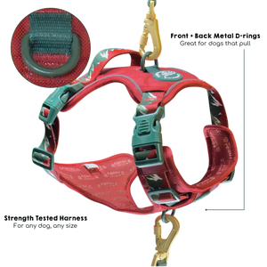 Tough Trails™ Harness - Walkies Ready® Snowy Mountains