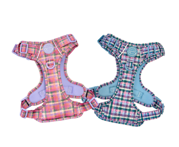 Tweed Collection
