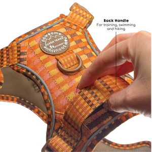 Tough Trails™ Harness -  Golden Acre