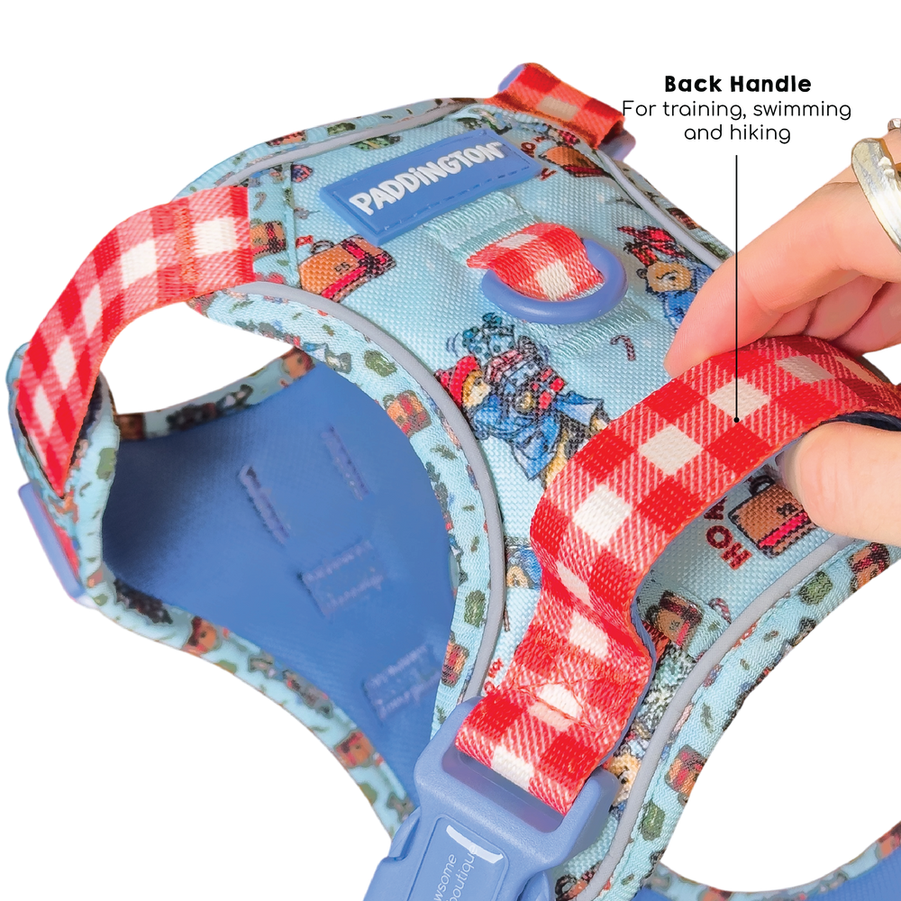 Paddington™ Tough Trails™ Harness - Christmas