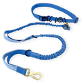 Handsfree Lead - Walkies Ready® Cornflower Blue