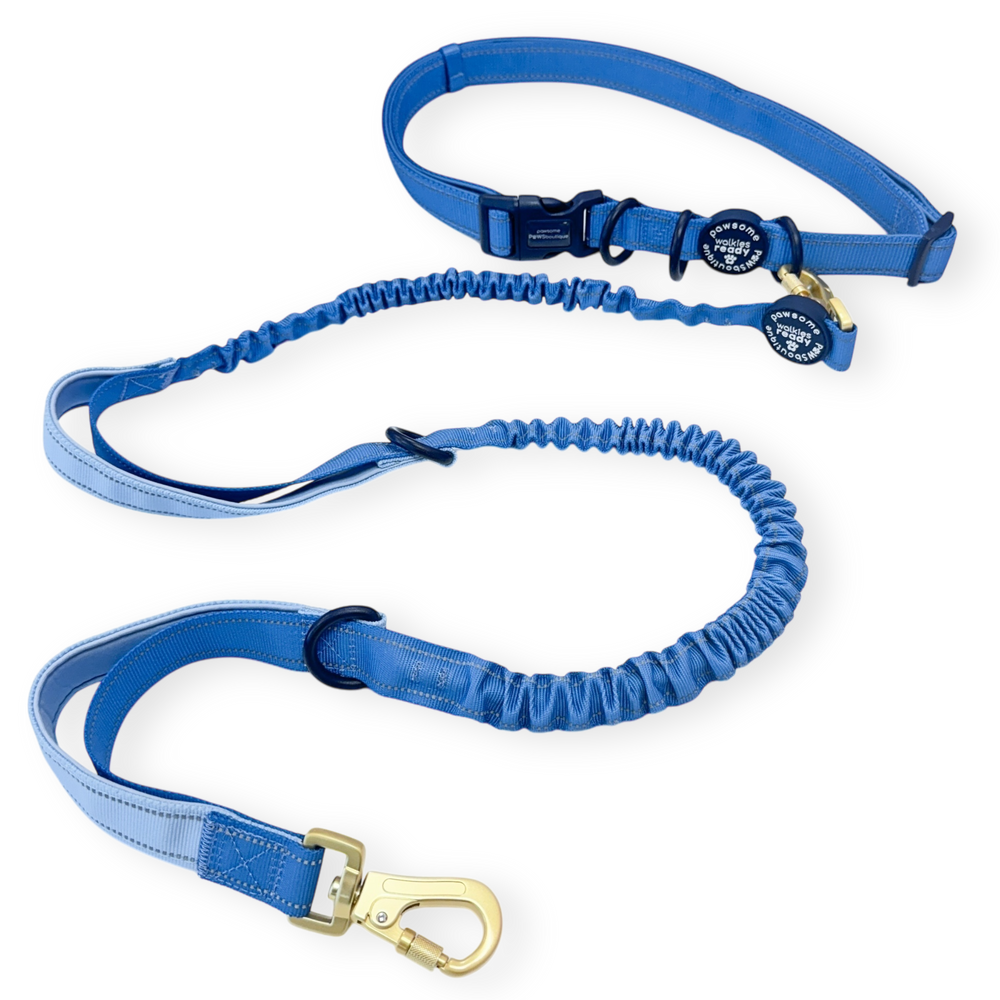 Handsfree Lead - Walkies Ready® Cornflower Blue