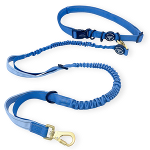Handsfree Lead - Walkies Ready® Cornflower Blue