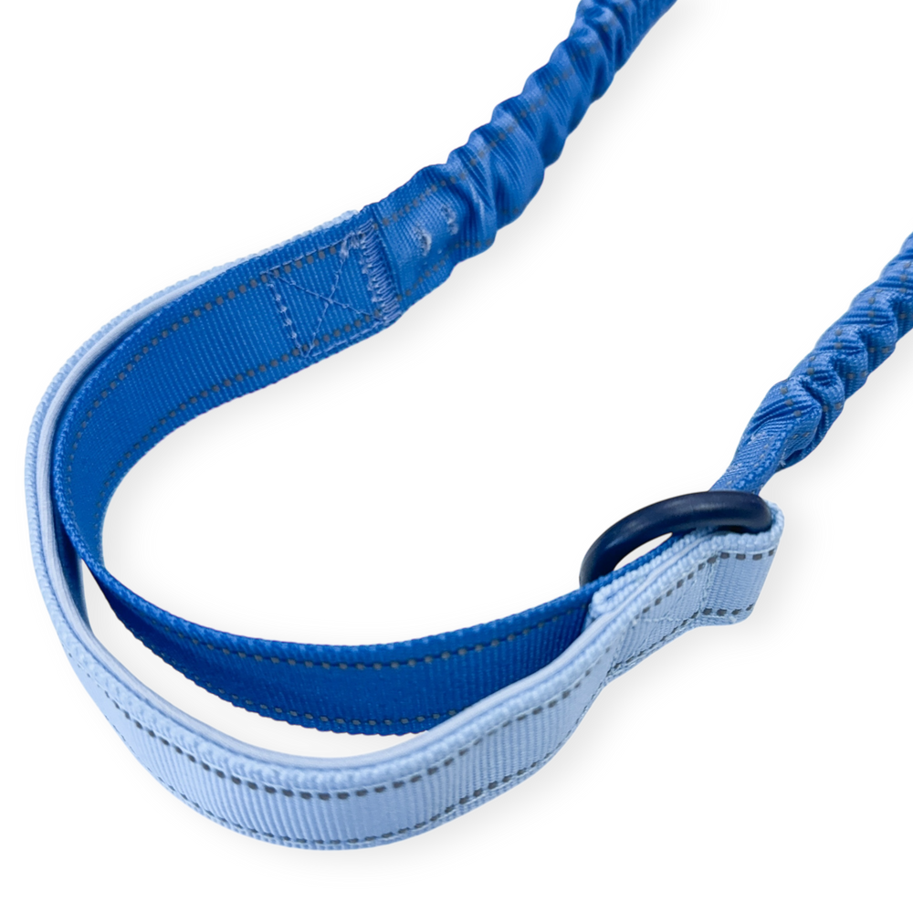 Handsfree Lead - Walkies Ready® Cornflower Blue (New Clip)