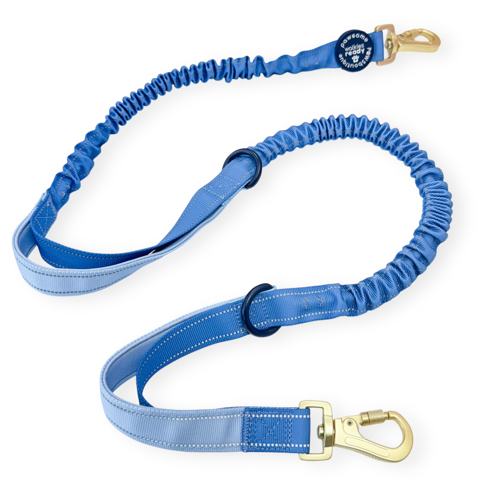 Handsfree Lead Addition - Walkies Ready® Cornflower Blue