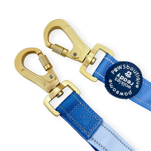 Handsfree Lead - Walkies Ready® Cornflower Blue