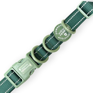 Handsfree Lead - Walkies Ready® Forest Green (New Clip)