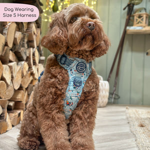 Disney© Tough Trails™ Harness - Santas Mickey Mail