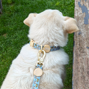 Disney© Lead - Lion Friends