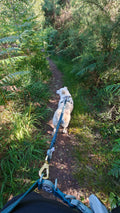 Handsfree Lead - Walkies Ready® Forest Green