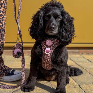 Poo Bag Holder - Leopard Print