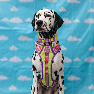 Disney© Collar/Lead Charm - Toy Story