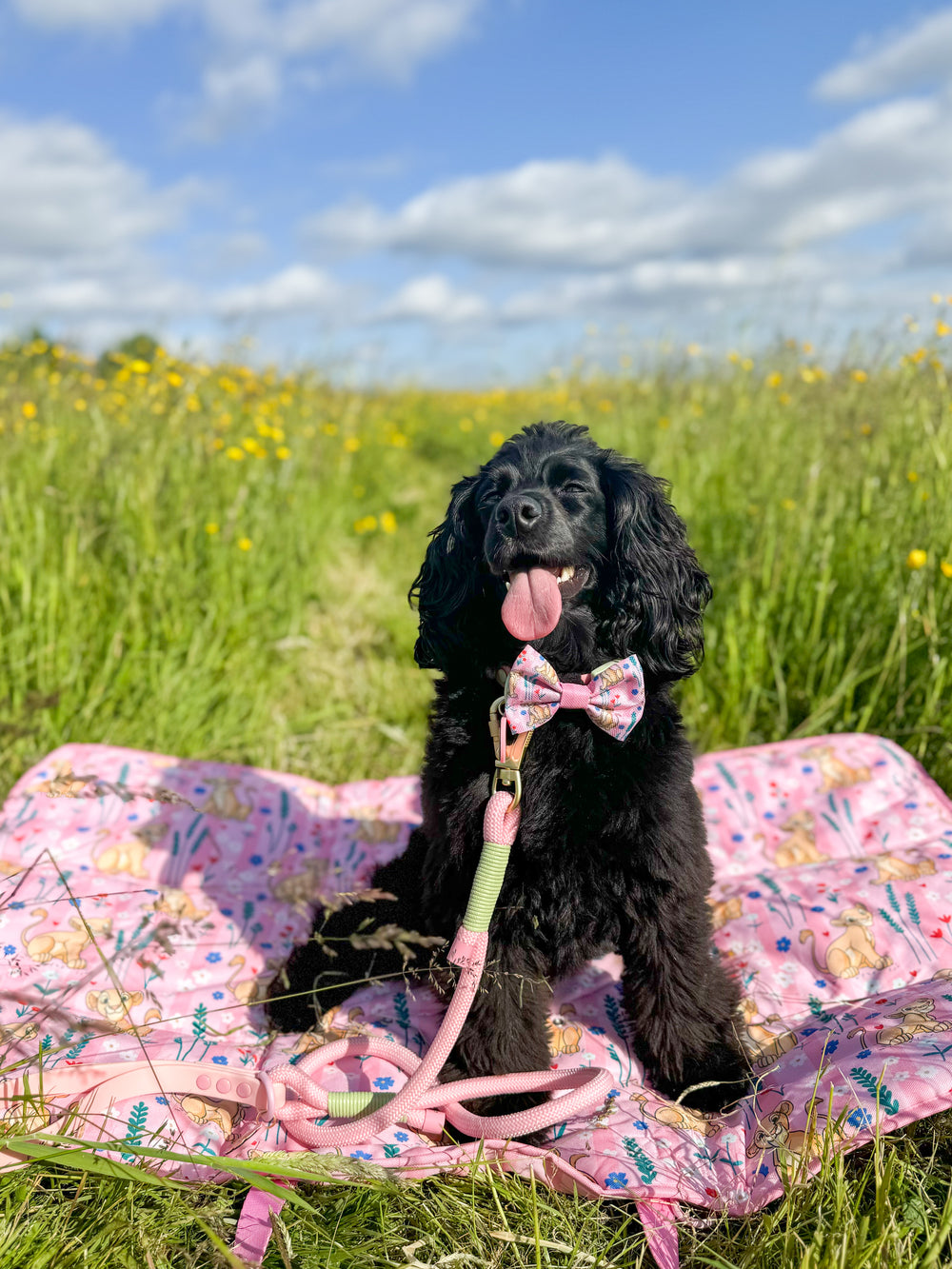 Disney© Travel Mat - Nala