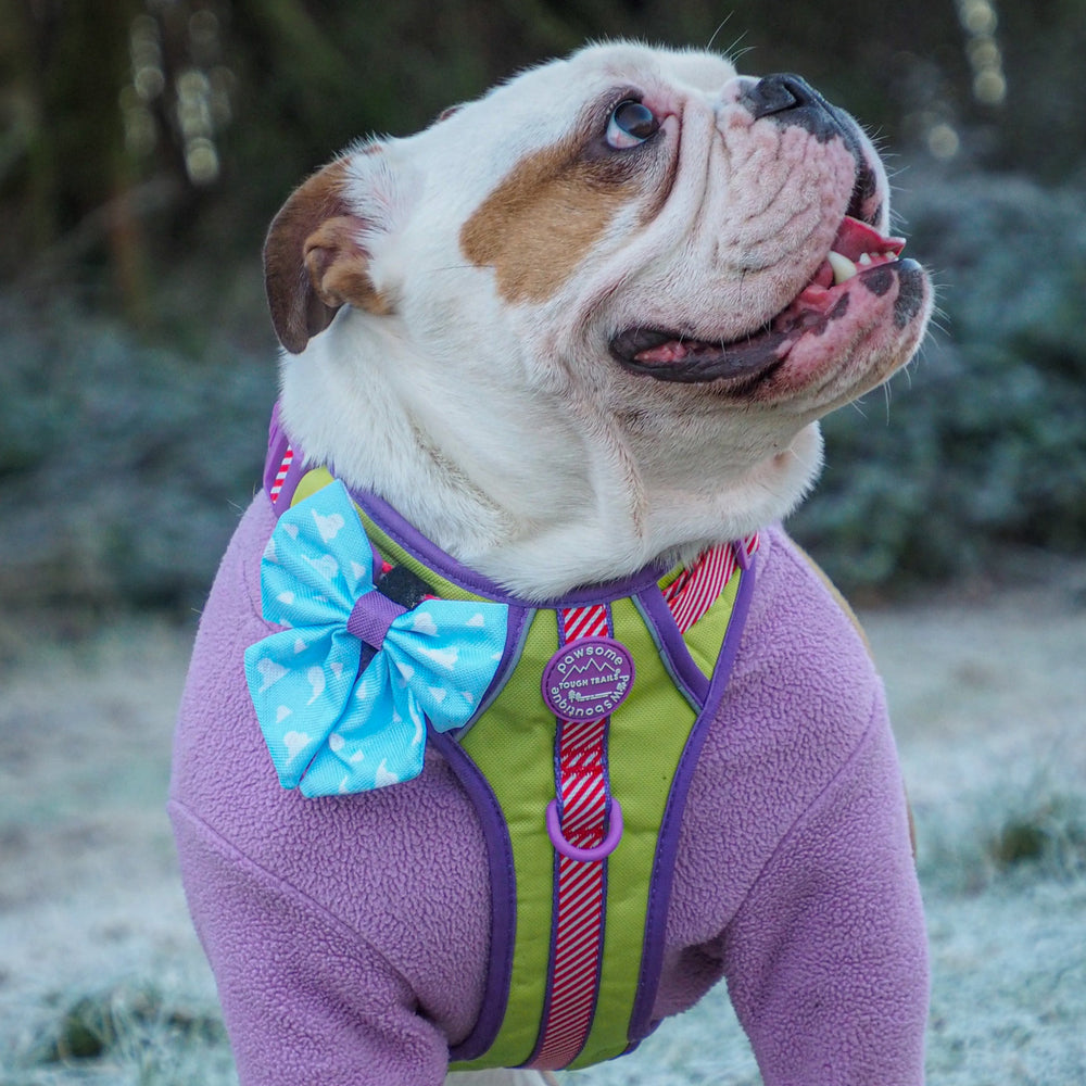 Disney© Sailor Bow - Buzz Lightyear