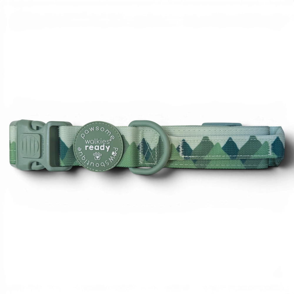 Adventure Collar - Forest Green (Size Large Only)