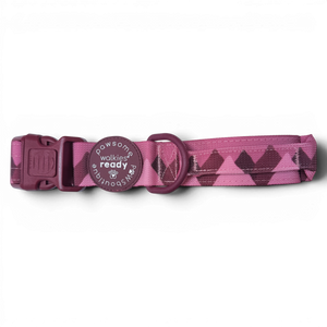 Adventure Collar - Mulberry (Size Large Only)