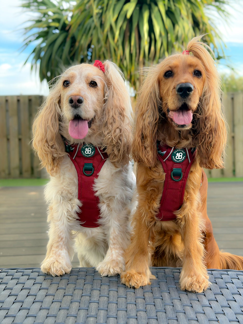 Tough Trails™ Harness - Walkies Ready® Snowy Mountains