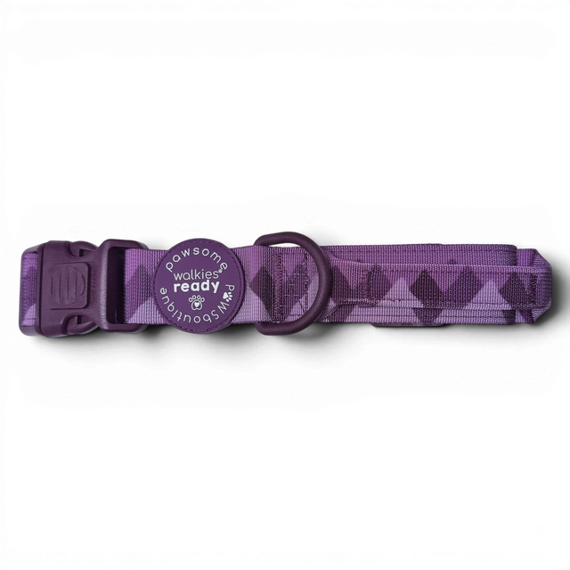 Adventure Collar - Plum (Size Large Only)