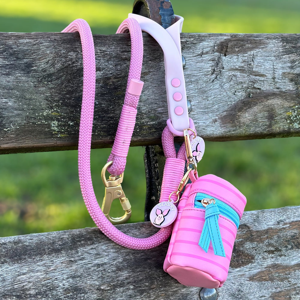 Disney© Treat Pouch - Piglet