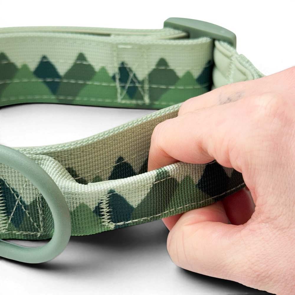 Adventure Collar - Forest Green (Size Large Only)