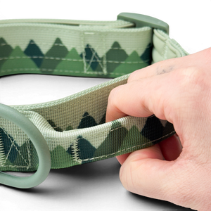 Adventure Collar - Forest Green (Size Large Only)