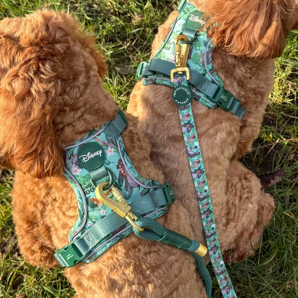 Disney© Disney©Lead - Jungle Book