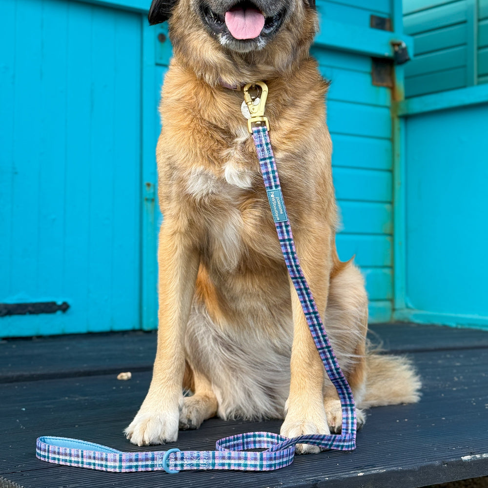 Lead - Tweed Twilight