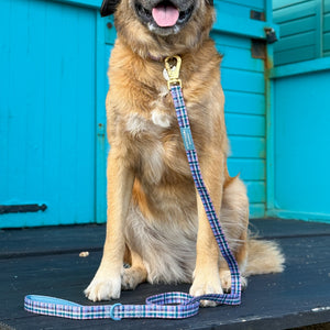 Lead - Tweed Twilight