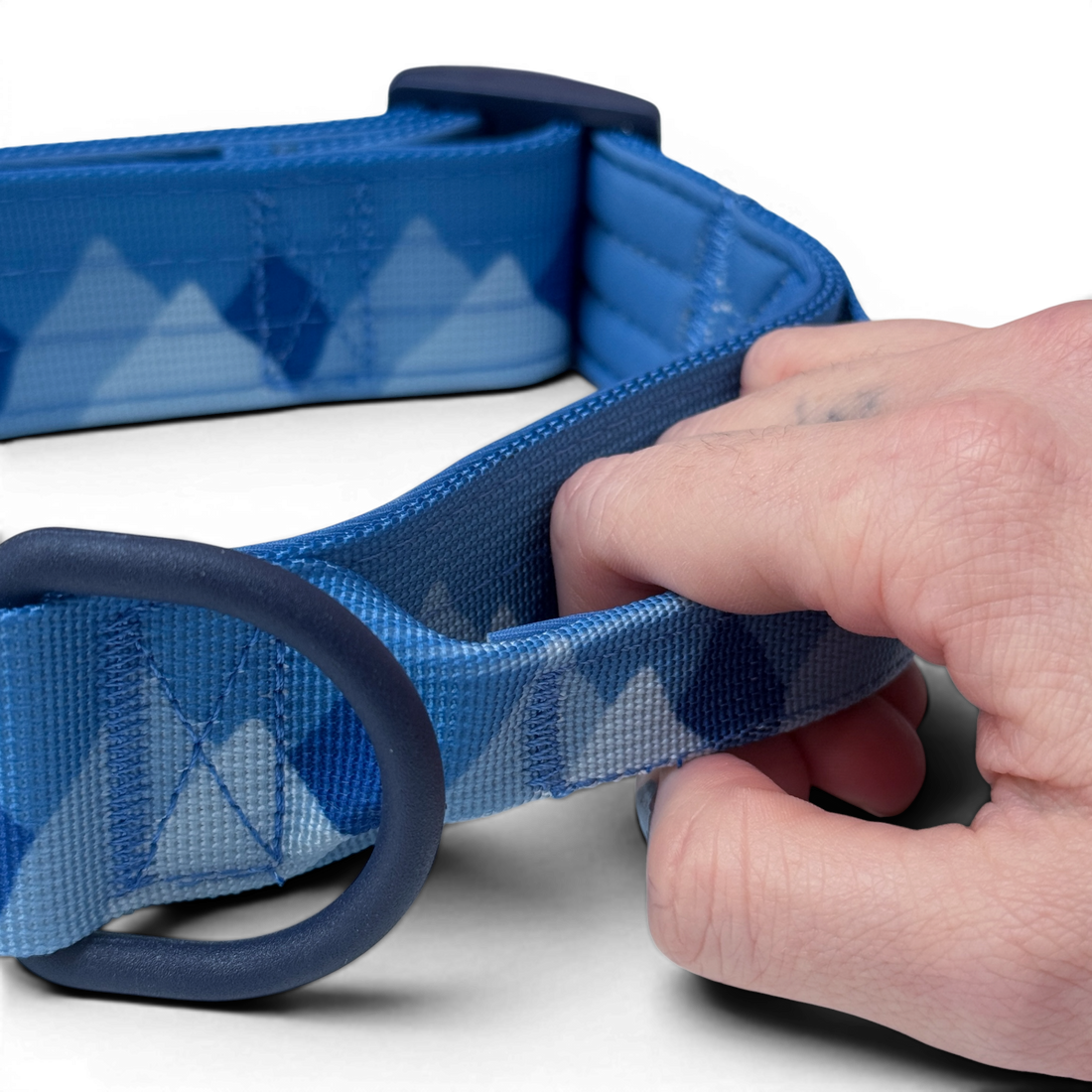Adventure Collar - Cornflower Blue (Size Large Only)